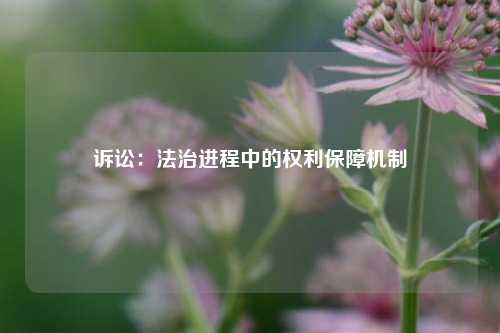 诉讼：法治进程中的权利保障机制