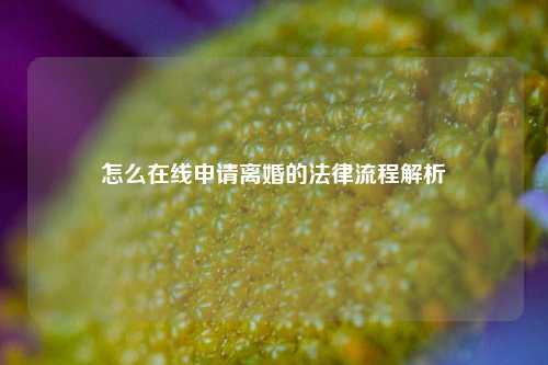 怎么在线申请离婚的法律流程解析