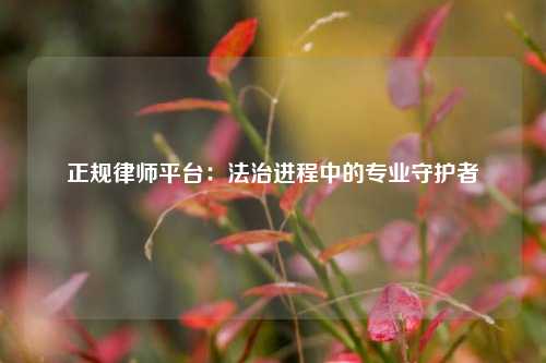 正规律师平台：法治进程中的专业守护者
