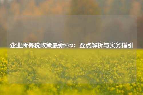 企业所得税政策最新2023：要点解析与实务指引