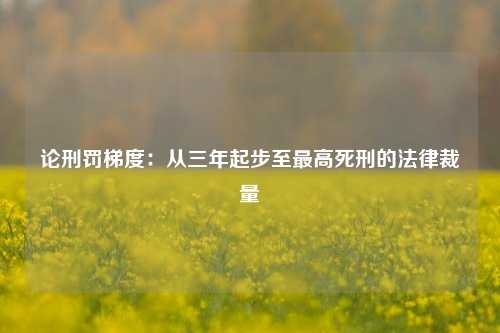 论刑罚梯度：从三年起步至最高死刑的法律裁量