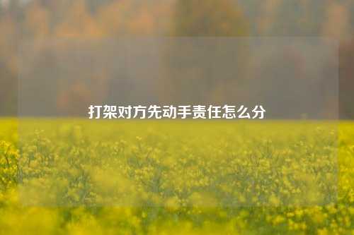 打架对方先动手责任怎么分