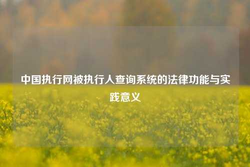 中国执行网被执行人查询系统的法律功能与实践意义