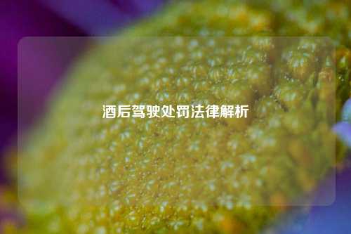 酒后驾驶处罚法律解析