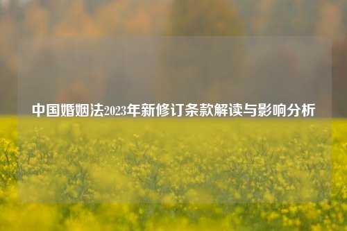 中国婚姻法2023年新修订条款解读与影响分析