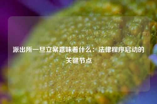 派出所一旦立案意味着什么：法律程序启动的关键节点
