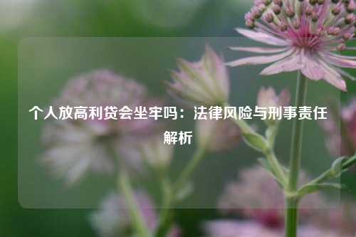 个人放高利贷会坐牢吗：法律风险与刑事责任解析