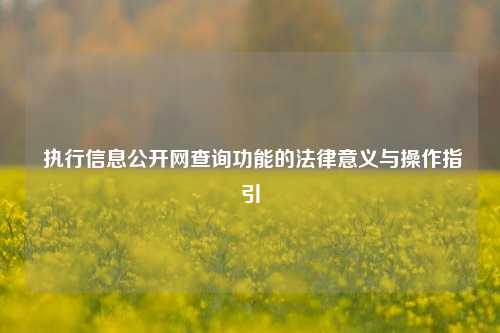  执行信息公开网查询功能的法律意义与操作指引