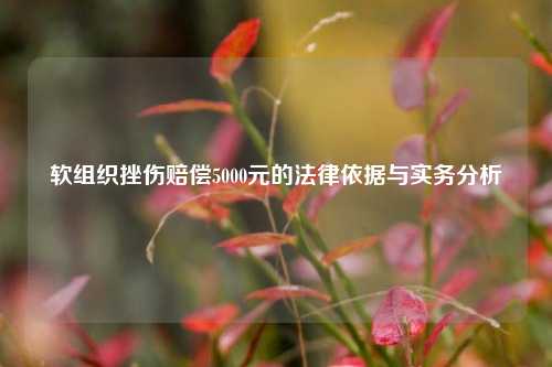 软组织挫伤赔偿5000元的法律依据与实务分析