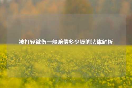 被打轻微伤一般赔偿多少钱的法律解析