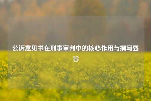 公诉意见书在刑事审判中的核心作用与撰写要旨