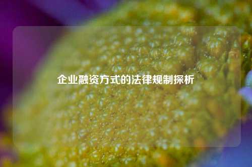 企业融资方式的法律规制探析
