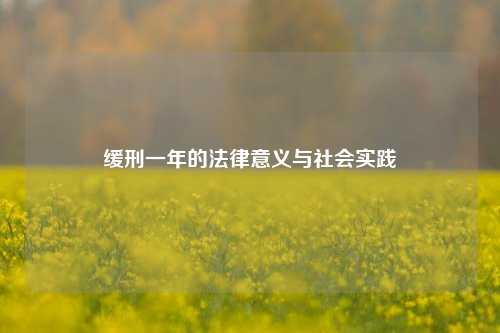 缓刑一年的法律意义与社会实践