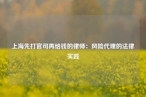 上海先打官司再给钱的律师：风险代理的法律实践