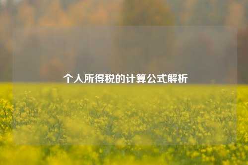  个人所得税的计算公式解析