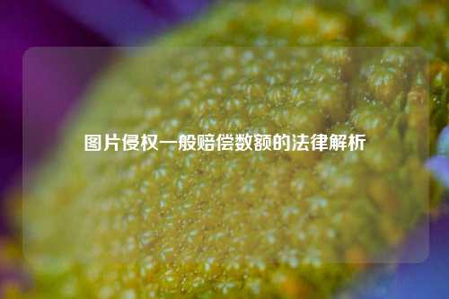 图片侵权一般赔偿数额的法律解析