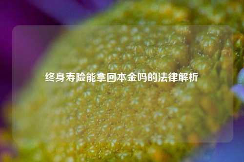 终身寿险能拿回本金吗的法律解析