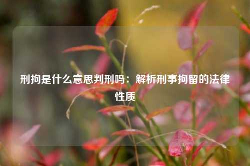 刑拘是什么意思判刑吗：解析刑事拘留的法律性质