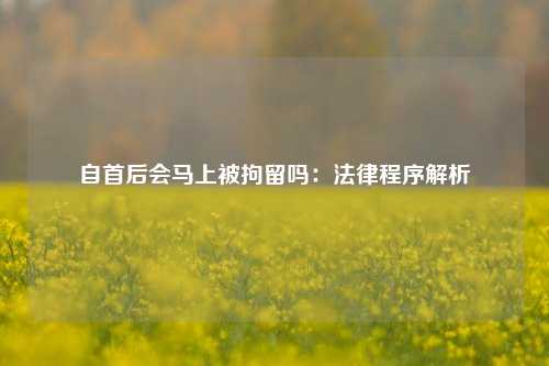 自首后会马上被拘留吗:法律程序解析
