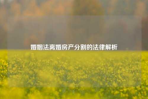 婚姻法离婚房产分割的法律解析