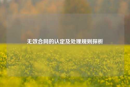 无效合同的认定及处理规则探析