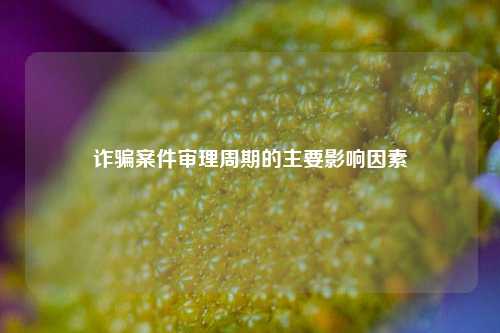 诈骗案件审理周期的主要影响因素