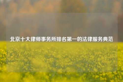 北京十大律师事务所排名第一的法律服务典范