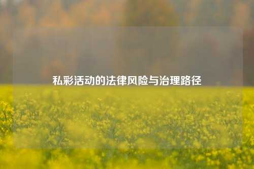 私彩活动的法律风险与治理路径