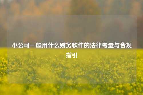 小公司一般用什么财务软件的法律考量与合规指引