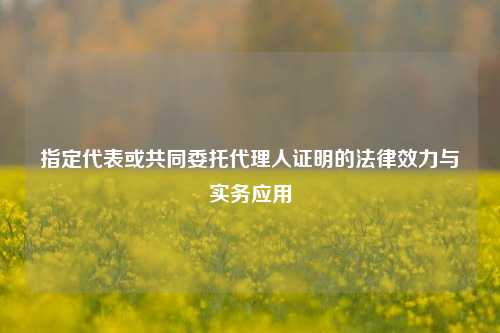 指定代表或共同委托代理人证明的法律效力与实务应用