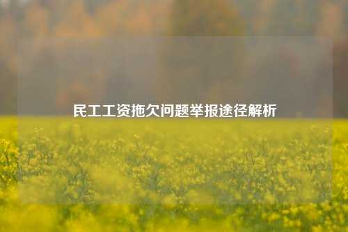 民工工资拖欠问题举报途径解析