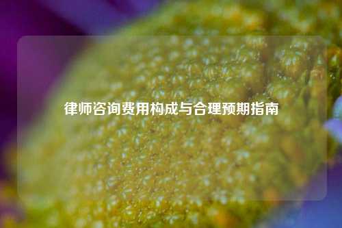 律师咨询费用构成与合理预期指南