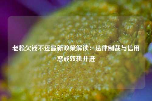 老赖欠钱不还最新政策解读：法律制裁与信用惩戒双轨并进