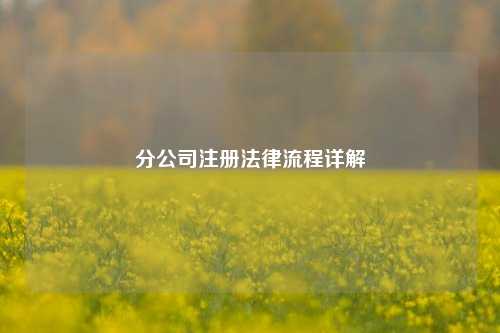 分公司注册法律流程详解