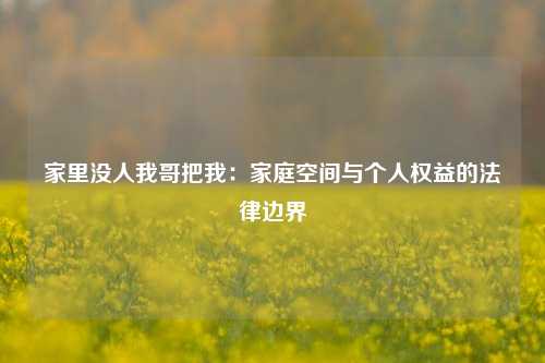 家里没人我哥把我：家庭空间与个人权益的法律边界
