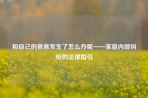 和自己的爸爸发生了怎么办呢——家庭内部纠纷的法律指引