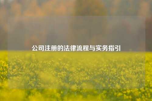 公司注册的法律流程与实务指引