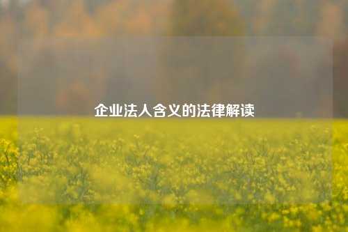 企业法人含义的法律解读