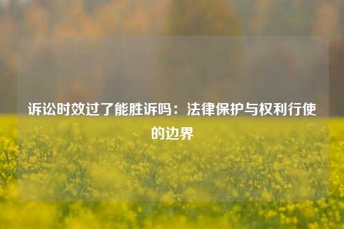 诉讼时效过了能胜诉吗：法律保护与权利行使的边界
