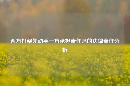 两方打架先动手一方承担责任吗的法律责任分析