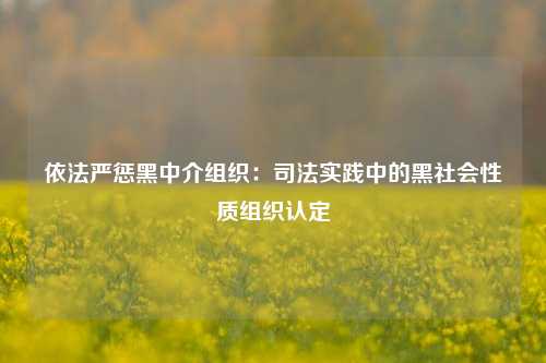 依法严惩黑中介组织：司法实践中的黑社会性质组织认定