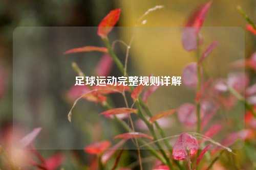 足球运动完整规则详解