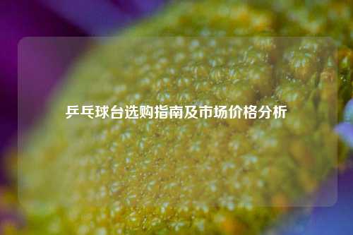 乒乓球台选购指南及市场价格分析