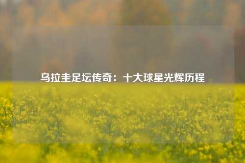 乌拉圭足坛传奇：十大球星光辉历程