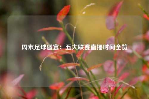 周末足球盛宴：五大联赛直播时间全览