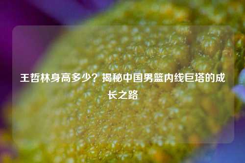 王哲林身高多少？揭秘中国男篮内线巨塔的成长之路
