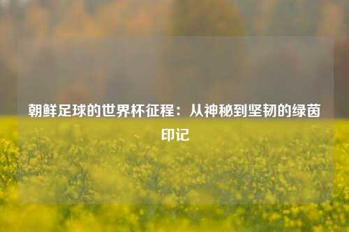 朝鲜足球的世界杯征程：从神秘到坚韧的绿茵印记