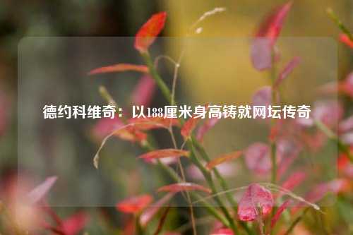 德约科维奇：以188厘米身高铸就网坛传奇