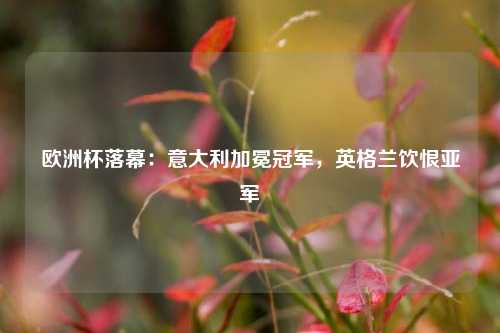欧洲杯落幕：意大利加冕冠军，英格兰饮恨亚军