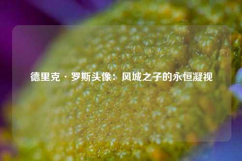 德里克·罗斯头像：风城之子的永恒凝视